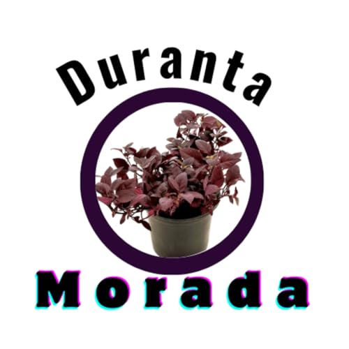 Page de couverture de 🎙️ PODCAST: Hablemos de Plantas – Episodio 2: La Duranta Morada, una joya del jardín