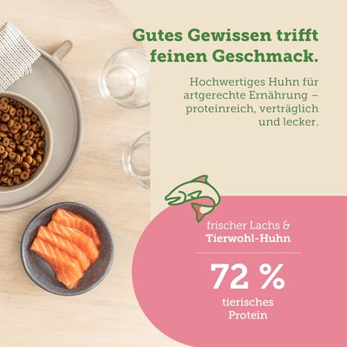 MERA Cats Nature Lachs Premium Kitten Trockenfutter für Katzen 400g | Getreidefrei & zuckerfrei | Katzenfutter Trocken mit hohen Fleischanteil & Colostrum | Dry Cat Food