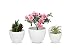 Naturish Flower Pot Set - 6”+5”+4” inch Pearl White Anti Slip Glazed Ceramic Plant Pots with Drainage Hole and Accessories for Indoor Planters, Outdoor Garden and Succulent Plants.