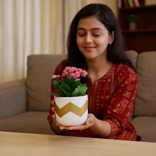 Image of Urban Plant Terracotta Pot - Trendy Planter for Modern Home & Garden Spaces (Nova Terracotta Pot - White)