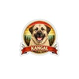 Adesivo in vinile Kangal - Adesivo in vinile, adesivo per cani impermeabile, per cani