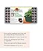 Burpee Greenhouse Indoor Starting Herbs, Flowers and Vegetables | Includes Dome, Watering, Seed Starter Tray, Coir Pellets | 10