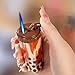 Windproof Butane Lighter, Creative Milk Tea Cup Shape, Blue Flame Spray, Circulating Inflation, Adjustable Flame, Ornaments, Decorations, Gifts(Pink)