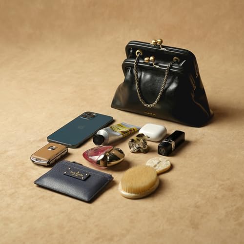 Image of Theater Francesca Vintage Kisslock Clutch Bag for Women Elegant Chain Shoulder Handbag with Structured Frame
