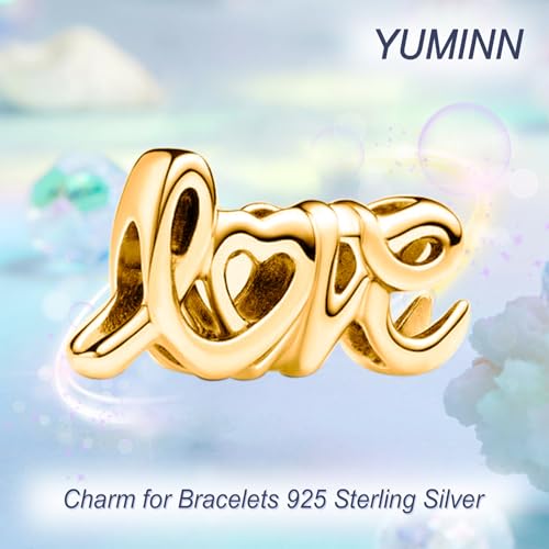 925 Sterling Silver Charms for Bracelets Gold Love and Heart Charms Cherry Blossom Dangle Beads Jewelry for Women3