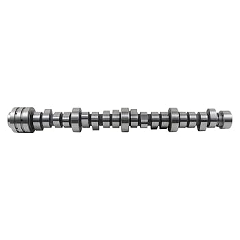Amazon.com: 53022263AF MDS Camshaft Replacement for 2009
