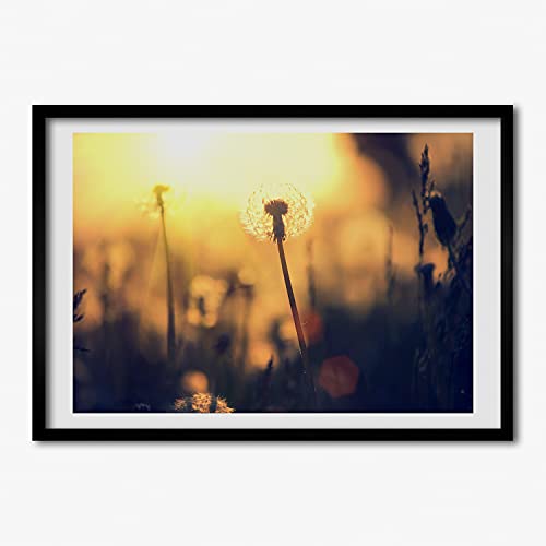 Affiche pissenlit 70x50 cm sous cadre bois pour habiller vos murs vides