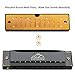 EastRock Blues Harmonica Mouth Organ 10 Hole C Key with Case, Diatonic Harmonica for Professional Player, Beginner, Students gifts, Adult, Friends, Gift Black