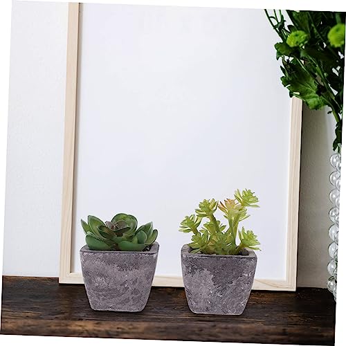 NUSITOU 2 Stuks Tuinaanleg Mini Bonsai Prop Ingemaakte Nepcactus Levendige Bonsai Lichte Huisdecoratie Voor Thuis Kunstmatige Sappige Decoraties Levensechte Cactus Plant Pvc Rekwisieten - Afbeelding 3