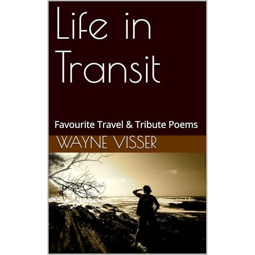 Life in Transit by Wayne Visser episode artwork