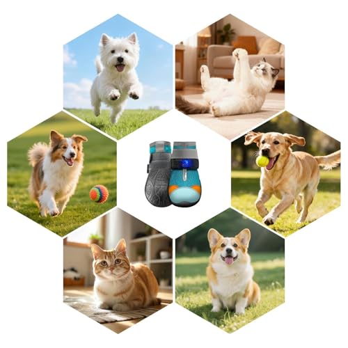 Chaussures pour animaux de compagnie LED respirantes et antidérapantes pour chiot et chaton