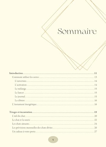 Tarot espiritual de gatos con 78 cartas y bolsa satinada