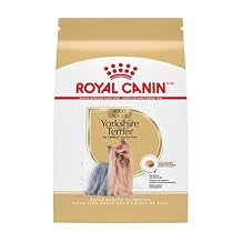 Royal Canin Breed Health Nutrition Yorkshire Terrier Adult Dry Dog Food, 30 lb Bag