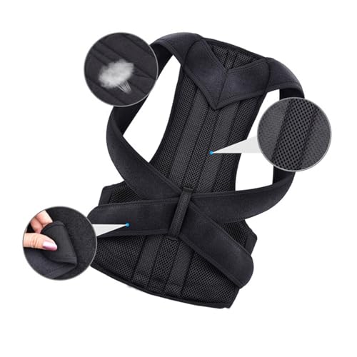 pxg Lw ␳ w ␳ pT|[^[ jp ʋCyޗT||^ w؋xg Lwxg   ×p pxg