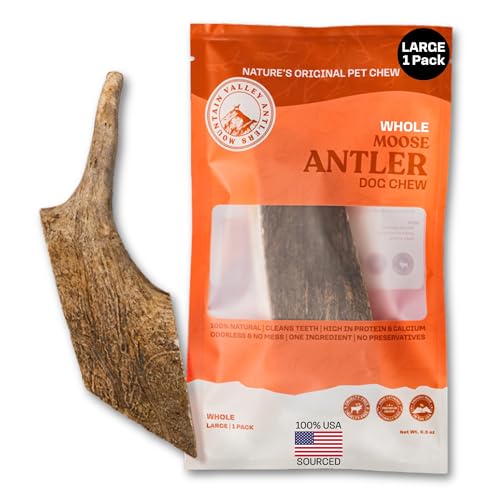 Mountain Valley Moose Antlers for Dogs - 100% Natural & Organic Chew for Aggressive Chewers No Odor No Mess Long Lasting - Wild-Foraged Naturally Shed Antlers in USA - Grade A Whole Large (1 Pack)