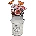 TTdayup Vaso Fattoria in Metallo Galvanizzato 7,8 Pollici Lattine in Metallo, Vasi Con Brocca Country Per Soggiorno,Camera da Letto,Cucina,Panetteria,Mensola del Camino, Decorazioni Tavola-Bianco
