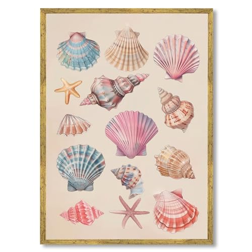 Large Framed Colorful Seashell & Starfish Canvas Wall Art Vintage