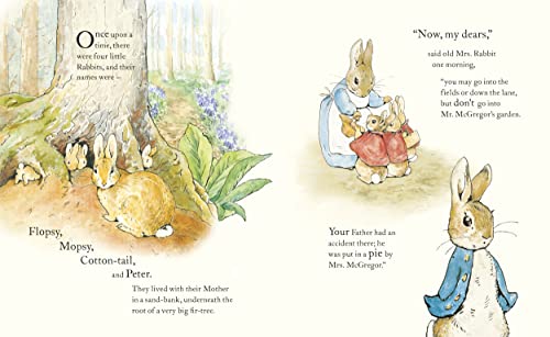 Image of The Tale of Peter Rabbit Picture Book