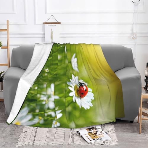 Couverture flanelle Ladybug plaid doux pour vos soirées sur le canapé - 4