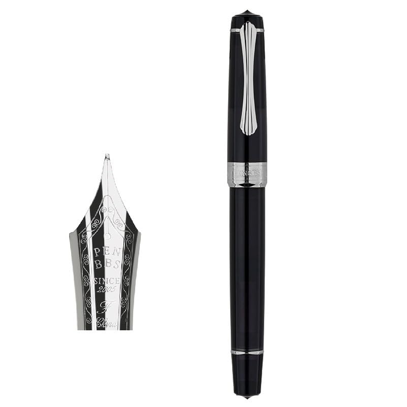 Stylo plume à piston en acrylique transparent élégant avec grande capacité