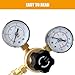 Vaphy Argon CO2 Regulator Gauges Gas Welding Regulators with 6.6Ft Hose for MIG TIG Welder, 0-4000 PSI, CGA580 Inlet Connection