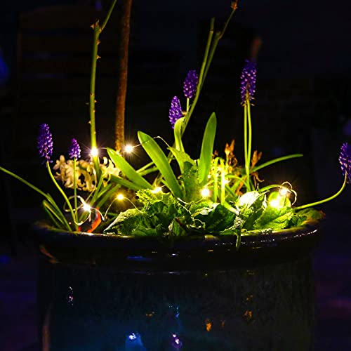Image of kemooie 2 Packs Solar String Lights, Total 200 LED 66FT 8 Twinkle Modes Warm White Solar Powered Fairy Lights, Waterproof for Outdoor, Tree, Garden, Christmas Decorations (Warm White)