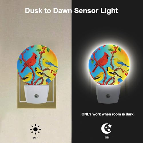 Image of Lovely Bird Lamp Parrot Night Light Parrot with Colourful Feather Night Lights Plug into Wall for Boys Girls, Plug-in Nightlight 0.5W LED Lighting for Stairway Hallway Bedroom