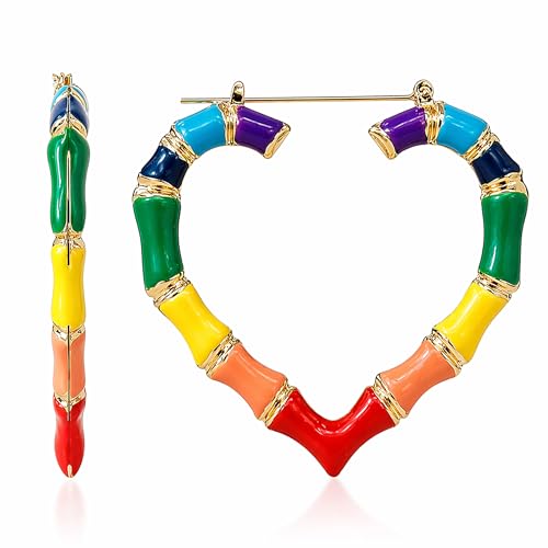 Pride Earrings Outfits for Women Colorful Rainbow Earrings Enamel Gay Lesbian Lgbt Bamboo Hoop Earring Pride Accessories Shirts for Women Rainbow Outfit Jewelry Gifts