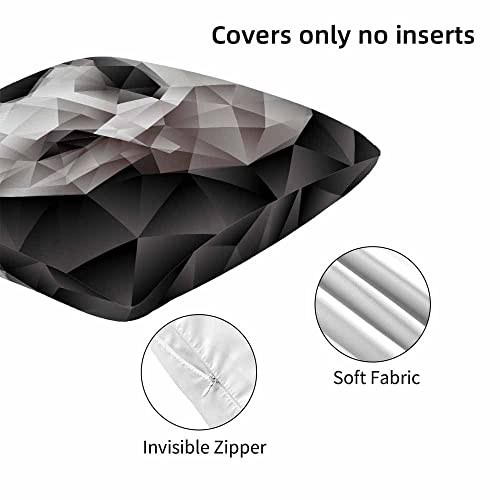 Tks Mitlan Abstract Rhombus Skull Throw Pillow Covers Set Of 2 18 X 18 Inch Grey Geometric Pattern On Black Square Pillowcases Home Decor For Sofa Bedroom Car Cushion Cases #TOP6