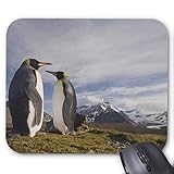  Mauspad mit seidenweicher Textiloberfl?che - Mouse Pad Paradise (antistatische Wirkung - perfekte Gleiteigenschaft PC / Computer Mousepad)-Antarktis S¨¹d Georgien Insel Gro?britannien K?nig 3