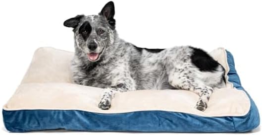 EveryYay by Petco Essentials Lounger Dog Bed 40" L X 30" W X 4" H Large Navy
