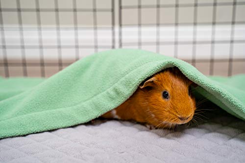 Guineadad Liner | Guinea Pig Fleece Cage Liners | Guinea Pig Bedding | Burrowing Pocket Sleeve | Extra Absorbent Bamboo | Waterproof Bottom (C&C 2X3, Sea Green) #TOP3