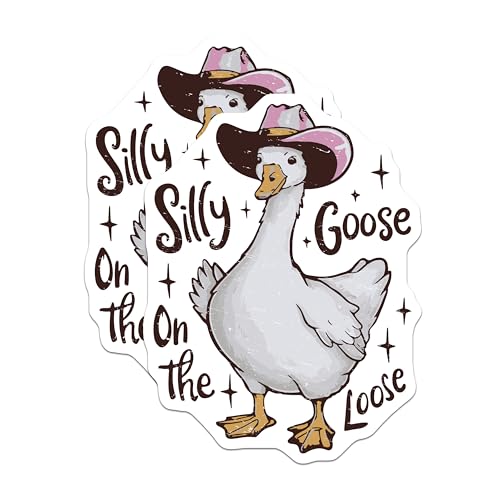 Imanes decorativos Silly Goose 2 pack 5 pulgadas miniatura 1