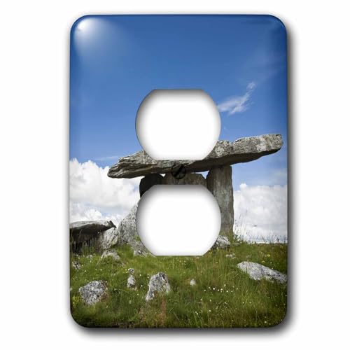 Coque pour prise Poulnabrone Stones Tomb édition d'art Brenda Tharp