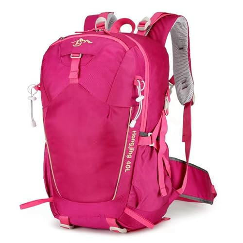 45R★山のリュック ピンク 楽天市場】【公式】JANSPORT リュック ジャンスポーツ BIG