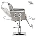 BarberPub Barber Chair Reclining Salon Chair for Hair Stylist, Antique Hair Spa Salon Styling Beauty Equipment 8132 (Silver Grey)