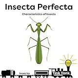  Insecta Perfecta (English Edition)
