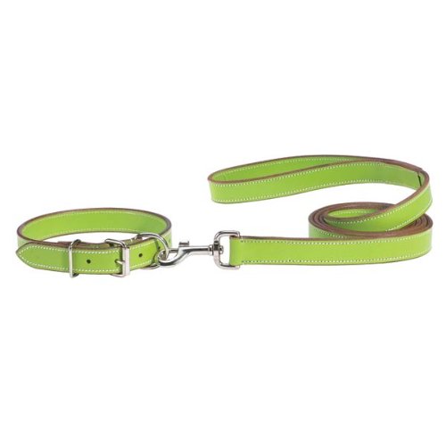 What Is A Flat Dog Collar