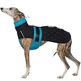 IECOii Greyhound Winter Coat for Large Dogs, Lurcher Whippet Waterproof Jacket, Salukis Dog Clothes With Warm Fleece, Extra Large Cozy Jumper, Blue-XXXL