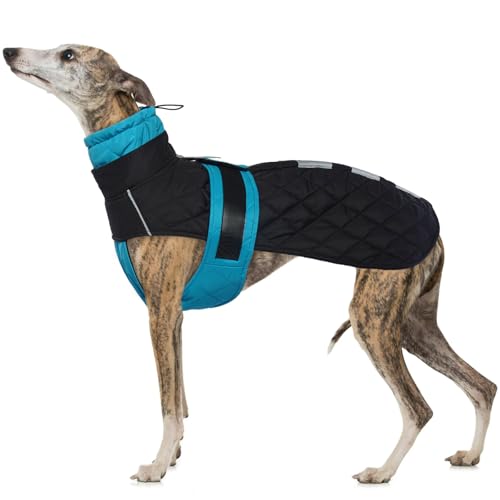 IECOii Greyhound Winter Coat for Large Dogs, Lurcher Whippet Waterproof Jacket, Salukis Dog Clothes With Warm Fleece, Extra Large Cozy Jumper, Blue-XX