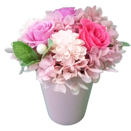 フラワースタジオ リビングカラーズ プリザーブドフラワー ポットアレンジ (ピンク) 直径約12cm 花 ギフト 北海道 恵庭市