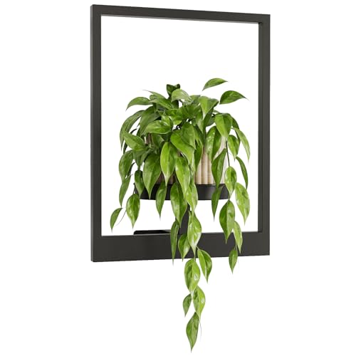 Bamworld Wall Plant Holder Plant Stand Indoor Wall Planters Black