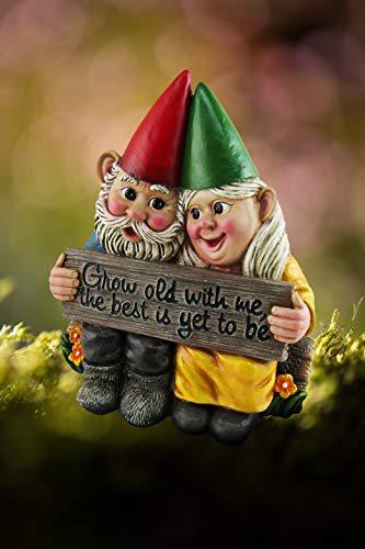 Dwk - Growing Old Together - Garden Gnome Couple In Love Collectible Figurine Best Friends Lovers Romantic Statue Indoor Outdoor Garden Patio Home Décor, 5.75-Inch #TOP5