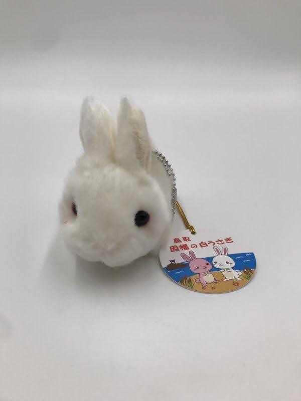 Amazon.co.jp: CUTE 因幡の白うさぎ 鳥取市 ぬいぐるみ