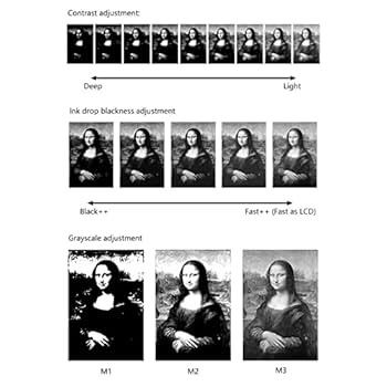 9/8まで出品【ほぼ新品】DASUNG Link 6.7インチ E-ink iPhoneも電子ペーパー表示に！中国でスマホとペアリングする6.7