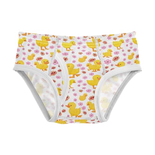 Cute Duck Pink Flowers Toddler Boy's Underwear 2T 202c1819