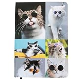 【キャシー&ジッグス】Sassy Cat A5 罫線入りジャーナル 160ページ 5.8×8.4ハードカバーノート 大学罫線入り:猫のお父さん、お母さん、子供、動物愛好家、男性、女性、メモ帳、日記帳、日記帳、日記帳、日記帳、日記帳、日記