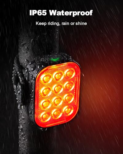 ISEYOU 2-Pack Waterproof Tail Light