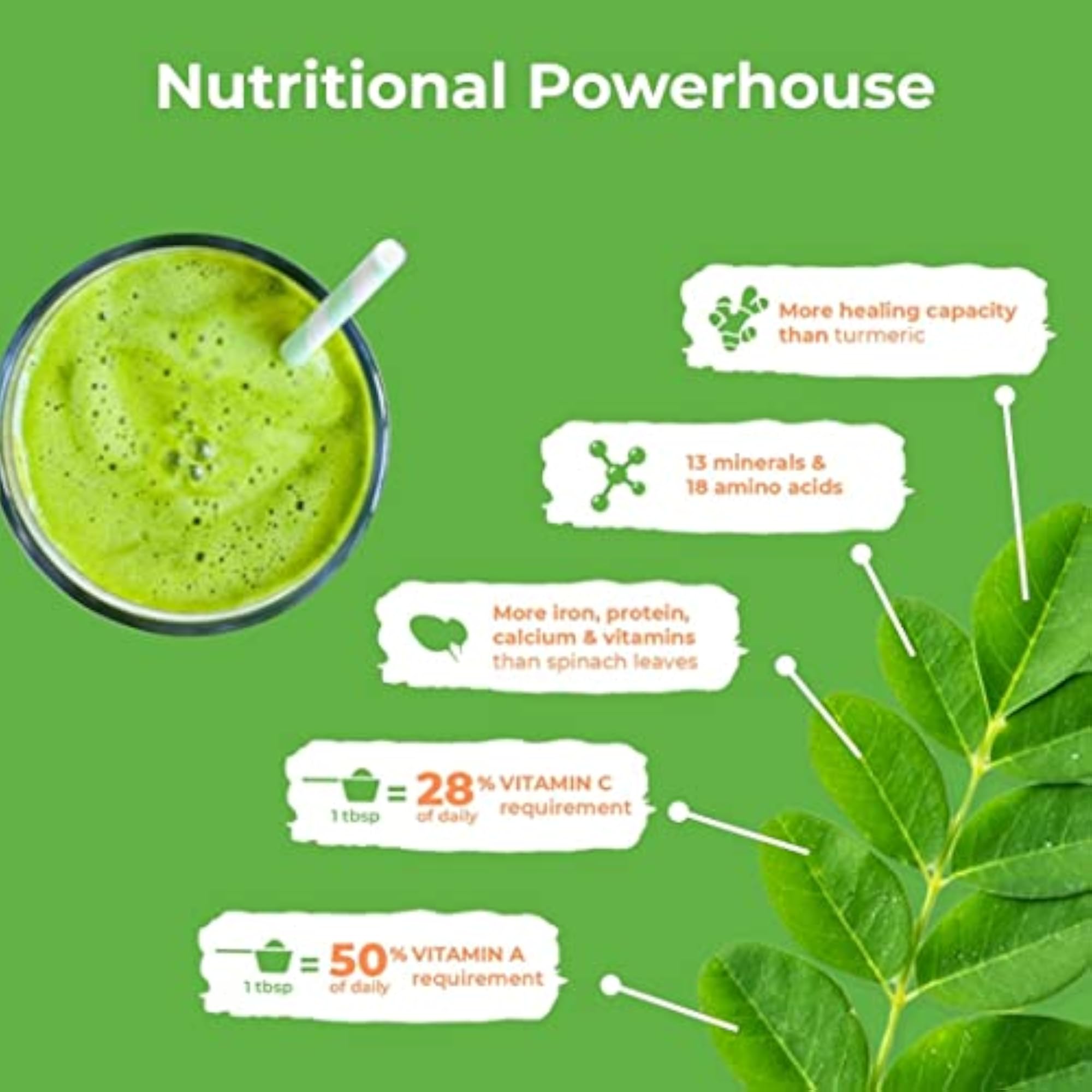 Anveshan Moringa Leaf Powder - 200 Grams Pack