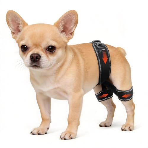 CHAMIN Dog Hip Brace for Hip Dysplasia Adjustable Support Harness for Dogs Relieves Joint Pain & Arthritis Stabilizes Back Legs Prevents Hip Issues Orthopedic Support(S)